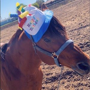 Meet your Posher, Jorge